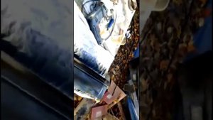 Вскрыл лаком с ксераликой черный грунт вот что получилось