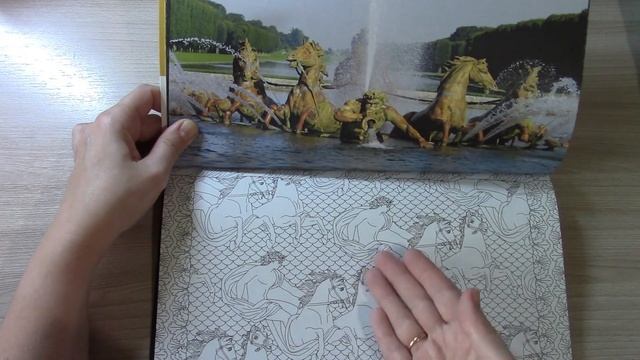 РАСКРАСКА ВЕРСАЛЬ ВДОХНОВЛЯЙСЯ И РИСУЙ ОБЗОР /Полистаем вместе смотреть онлайн