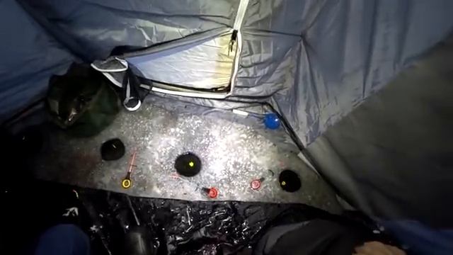 РЫБА ПРИШЛА И НАЧАЛА ЕСТЬ,РЫБАЛКА С НОЧЁВКОЙ,fishing,bushcraft,camping. смотреть онлайн