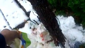 Настоящее оливковое масло застывает на холоде или привет всем от Вонни