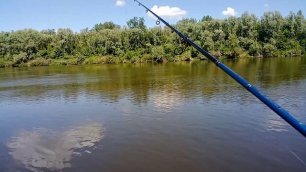 видео рыбалка на реке дон