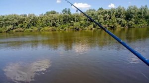 Рыбалка на реке Дон. Спиннинг с берега.