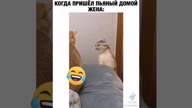 КОГДА МУЖ ПРИШЁЛ ПЬЯНЫЙ ДОМОЙ...