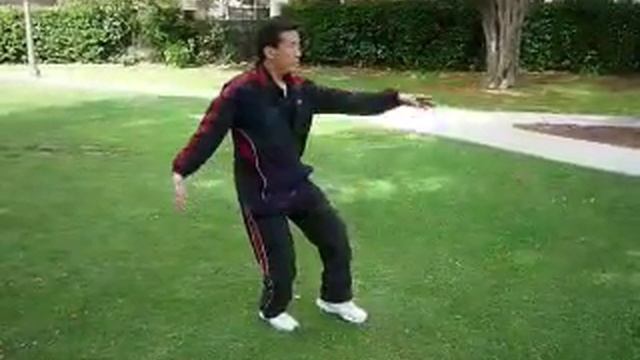 Yang Style Tai Chi Chuan 108 section 1 смотреть онлайн