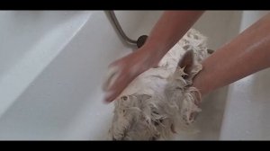 Как мыть собаку: как правильно купать в домашних условиях? Шампуни для собак. Домашняя серия PSH.