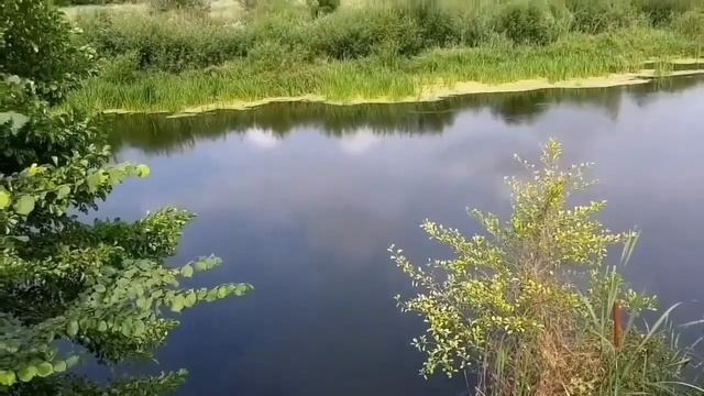 ПРИЧАСТИЕ 7 АНГЕЛОВ смотреть онлайн