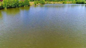 София купается