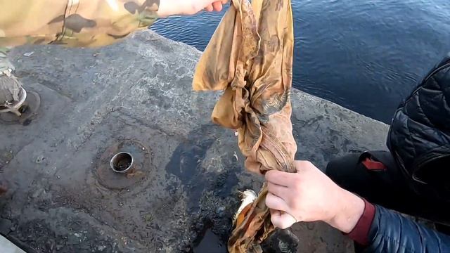 Рыбалка на Кольском заливе. Мурманск. Новые места и подводная лодка Б-73 смотреть онлайн