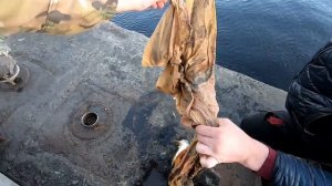 Рыбалка на Кольском заливе. Мурманск. Новые места и подводная лодка Б-73