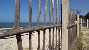 Африка, Танзания. ЖИВОТНЫЙ МИР ПОРАЖАЕТ!!!