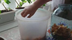 Подкормка для цветов из шелухи лука и чеснока кладезь микроэлементов.