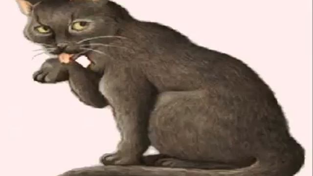 Код дома и улицы смотреть онлайн