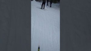 Впечатление от Fischer Carbonlite после двух месяцев использования