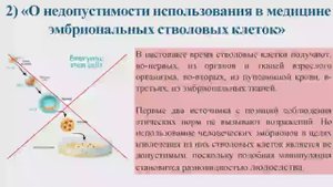Биоэтика. ЭКО. Суррогатное материнство. Эмбриональные стволовые клетки. Проблема абортов.