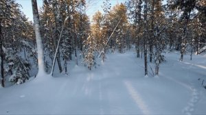 Поход в лес с батей. Новые лыжи Шатун.  Добрые походы.