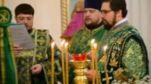 Чтение акафиста преподобному Матфею Яранскому совершает епископ Глазовский и Игринский Виктор