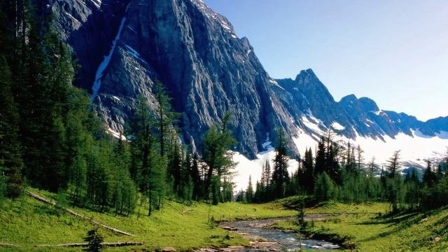 Приятная  Музыка  от стресса . Снимаем стресс.