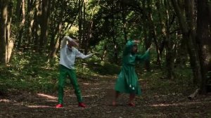 SERAFYN - Соловей ( Ой у гаю при Дунаю ) ( OFFICIAL VIDEO )