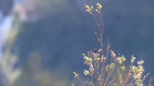 Планета Земля 60 параллель смотреть онлайн