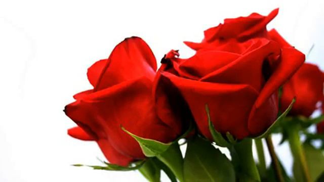 Мозаика хороших русских клипов и фото в отличном... смотреть онлайн