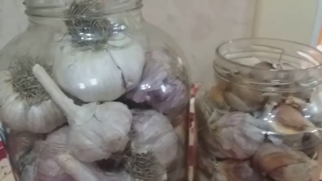 Как сохранить чеснок до весны смотреть онлайн