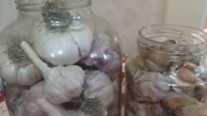 Как сохранить чеснок до весны