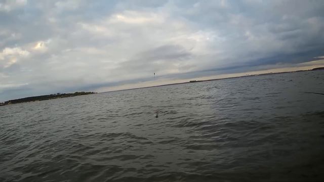Ловля белой рыбы в июле.Обское море.Крупная плотва и язи
