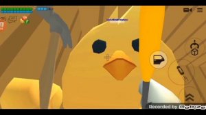 ивалюция цыплёнка