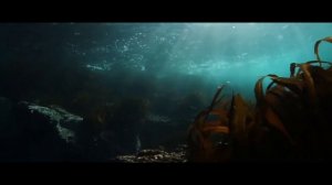 Самая Нежная и красивая музыка антистресс . Жизнь вокруг ПРЕКРАСНА!