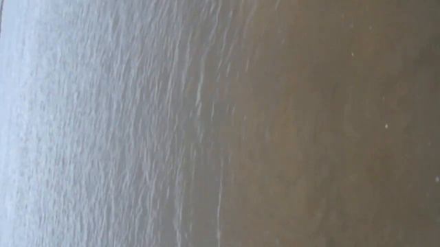 Отпуск на Амуре, сомы на кукане, 9 августа 2020г. смотреть онлайн