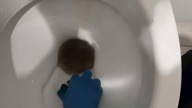 Как промыть фильтр пылесоса