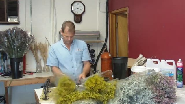 How To Prepare Limonium Hybrid assorted 80cm from Ecuador - lwflowers.com смотреть онлайн