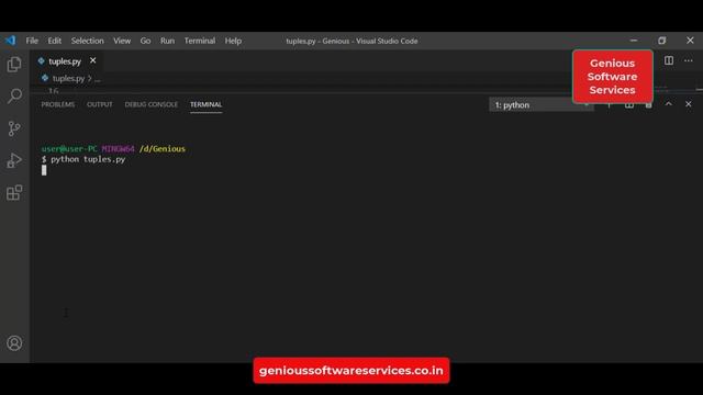 Python Tuple Introduction- Python  Tutorials 29