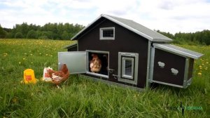 КАК БЫСТРО обслужить 12 КУР, потратив минимум усилий и времени? ОБЗОР КУРЯТНИКа "КАСКАД-2"