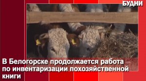 Регистрация в похозяйственной книге