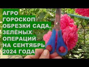 Агрогороскоп обрезки сада зеленых операций на сентябрь 2024 Agro Horoscope of Green Operations for S