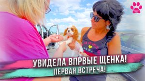 Мы купили щенка! Увидела щенка! Впервые взяла на руки! Как назвали? Первая встреча.