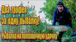 Два трофея за одну рыбалку! Рыбалка на поплавочную удочку /// Рыбалка на Кубани 2022 /// Выпуск № 25