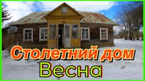 Шлифовка стен старого сруба. Первый день весны #хочувдеревню