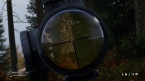 SVAL vs MOSIN DayZ #DayZ