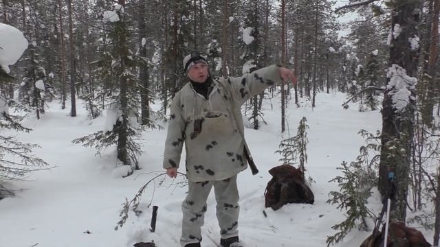 Охота на Глухаря с подхода. 4 Глухаря в одном месте. Нашли тетеревов на лунках, НО....