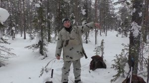 Охота на Глухаря с подхода. 4 Глухаря в одном месте. Нашли тетеревов на лунках, НО....