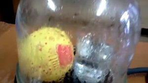 Опыт по теме : "Давление газа" 7 класс