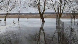 Паводок в д.Каменка, ул.центральная,Козельского р-на Калужской обл. Часть 1