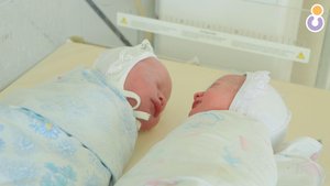 Королевская двойня