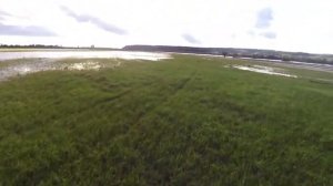 заливные луга