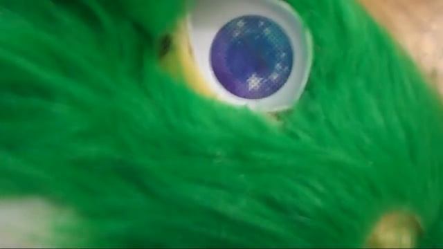 Короче говоря, как я фурсьюту глаза приклеивала смотреть онлайн