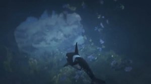 GTA V Orca