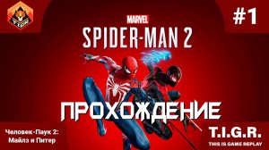 Человек-Паук 2: #1 | Прохождение Spider-Man 2