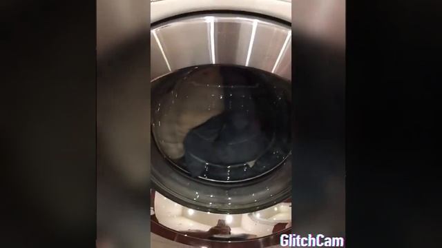 Стираю акулу из Икеа в стиральной машине результат??? #стираюакулуизикеа#акулаблохей#акулаикеа смотреть онлайн